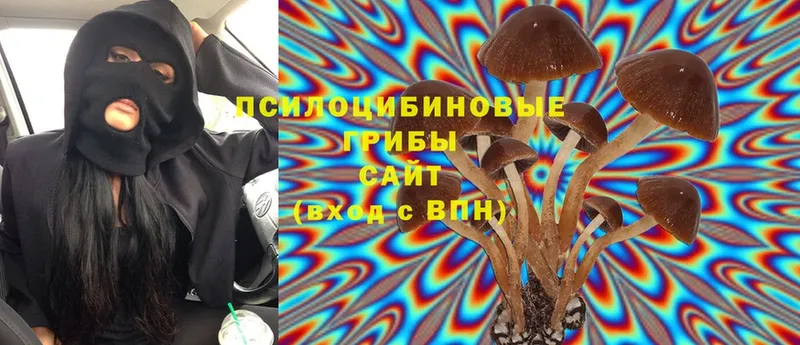 цены наркотик  Богородицк  Галлюциногенные грибы Magic Shrooms 